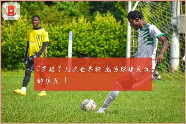 C罗进了几次世界杯 成为球迷关注的焦点_1